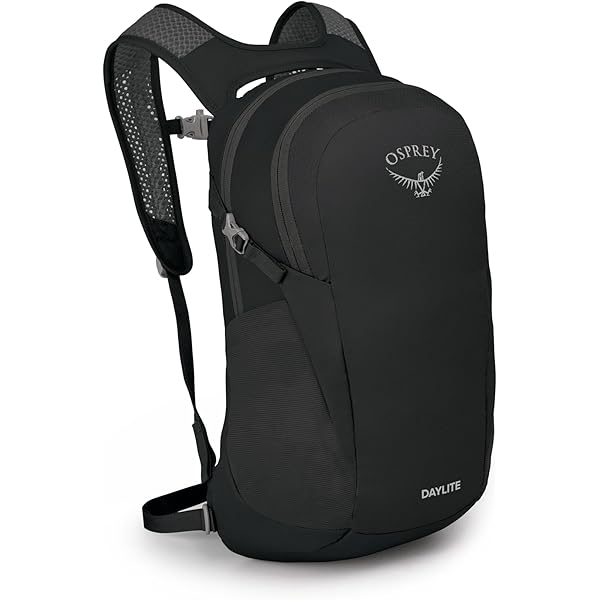 Amazon.com | Gregory (Day Pack) official Black Backpack [Japan